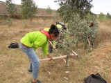 Eritrea_Krumpholz_031