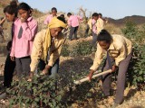 Eritrea_Krumpholz_058