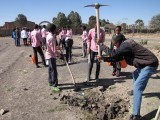 Eritrea_Krumpholz_232